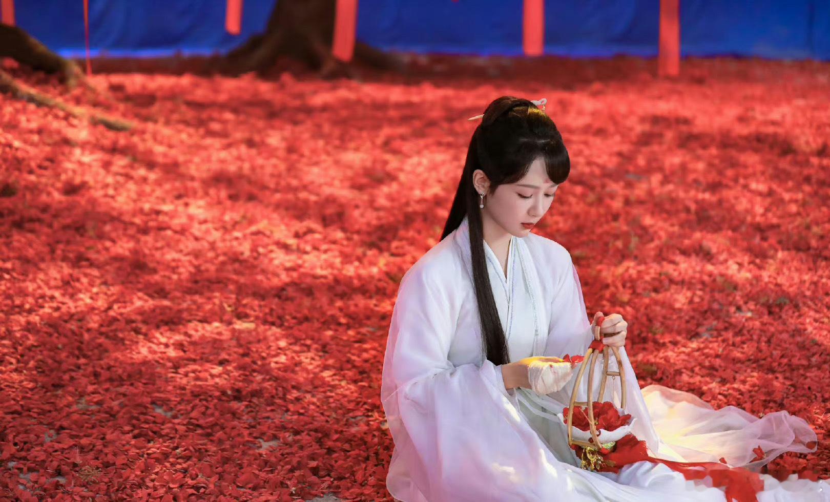 #杨紫古装白衣#有一说一，杨紫在凤凰树下这个古装白衣造型真的是很唯美的一种感觉。