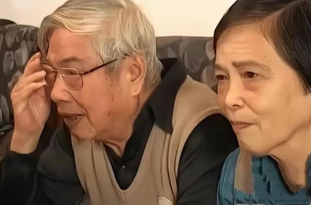 1993年，台湾老兵回大陆寻亲。见面后他才知道妻子已改嫁，面对妻子的现任丈夫，老
