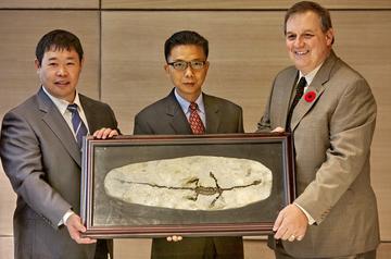 美国归还64件文物古生物化石，外交部回应：这种好事应该多办
9月18日，外交部发