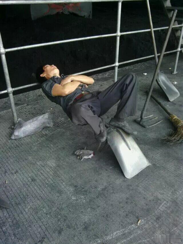 史上最牛睡觉姿势