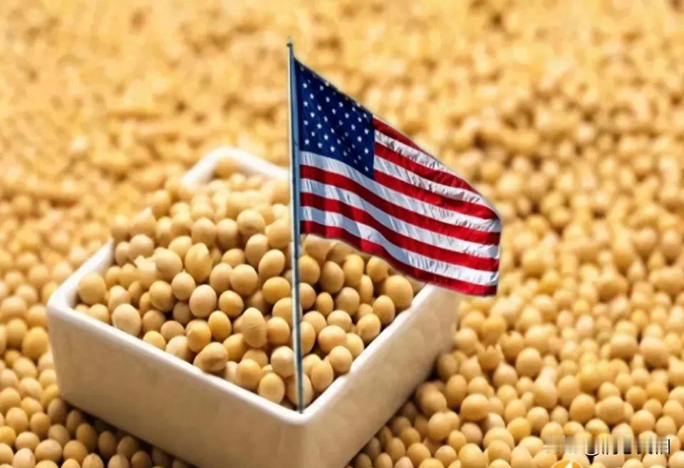 不管是哪个国家的大豆，必须平价进口。中国大豆的消费权重世界第一，想要出口的必须有