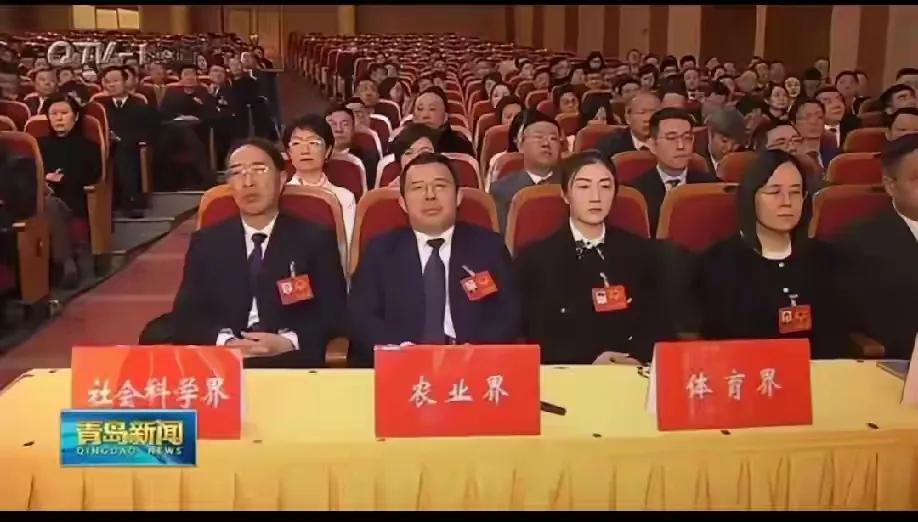 这应该是大家都好奇的
陈梦不是退役了吗？
大家说她是怎么代表体育界的？