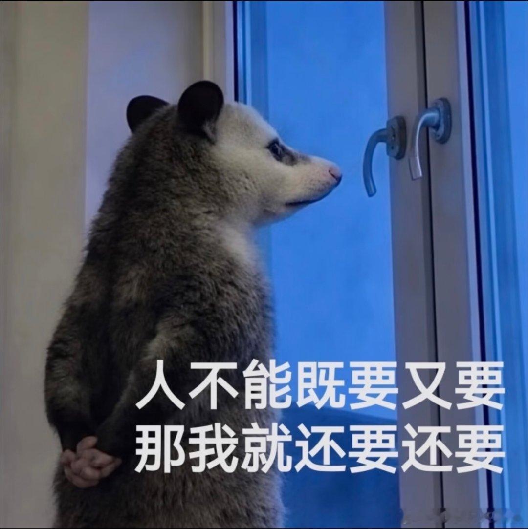 ——「我没有做任何不光彩的事」真是笑疯了了原来被人家原配董花花在网上当面开大不敢