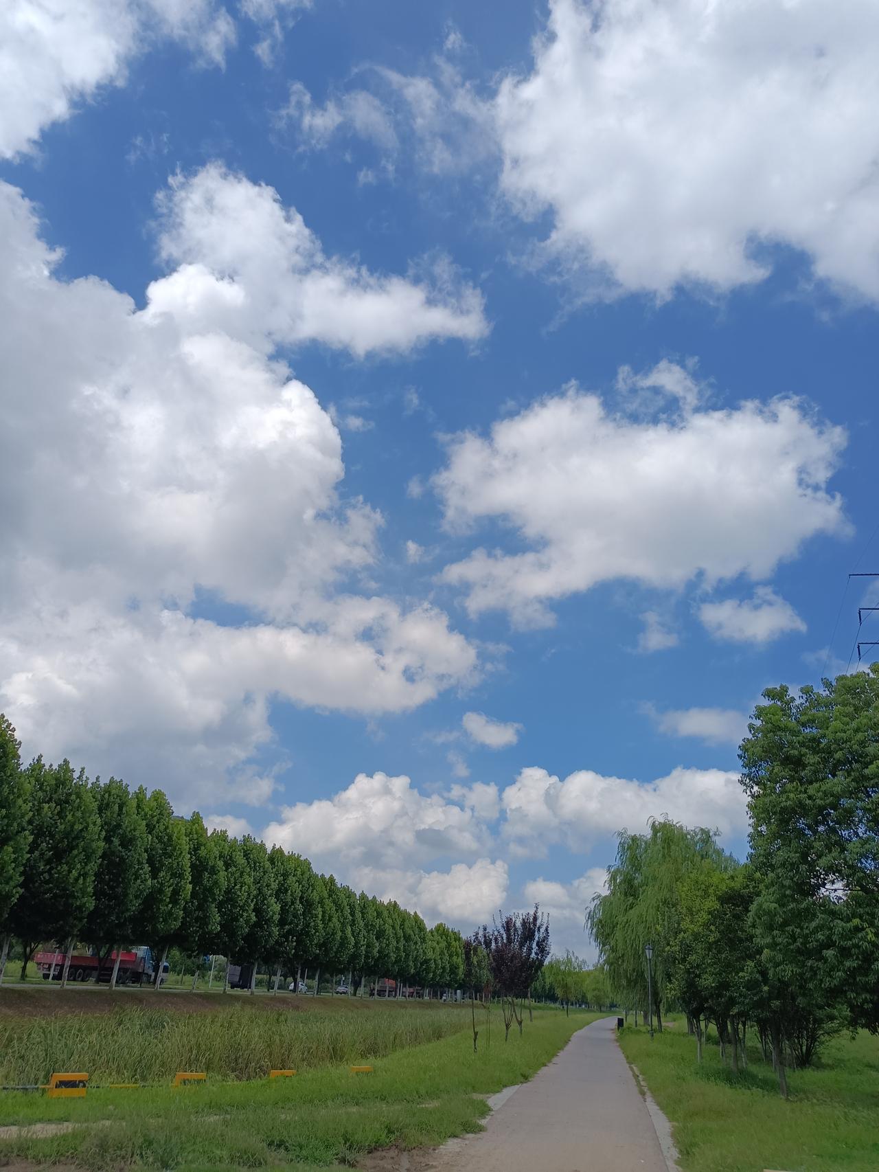 随手拍，今天的天空，树和绿草。