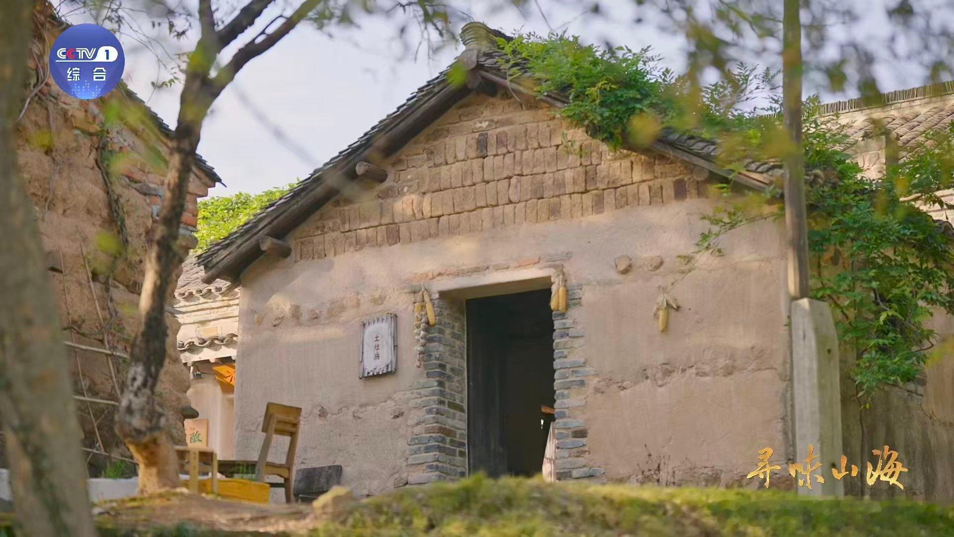 为这口菌子等了寒露又等雨鲜掉眉毛的雁来蕈名字咋来的 采蕈人在寒露雨后的山野间寻雁