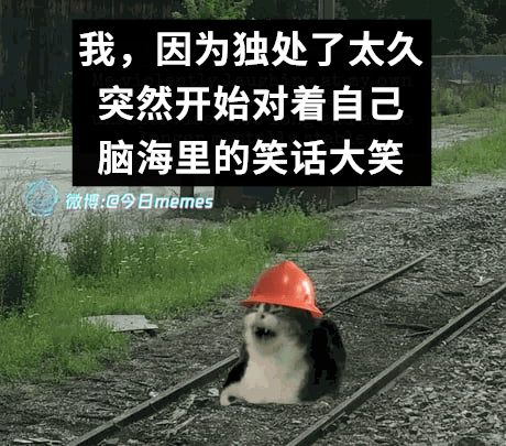 绝了（9gag）今日meme[超话] 今日memes ​​​