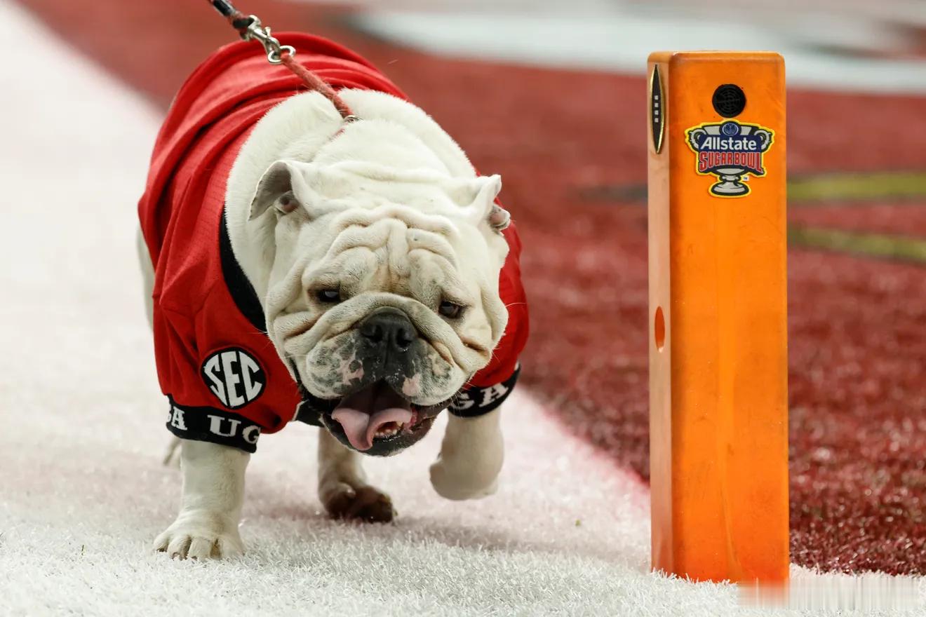 次轮排名第6的密西西比大学39：34淘汰排名第2的佐治亚大学 