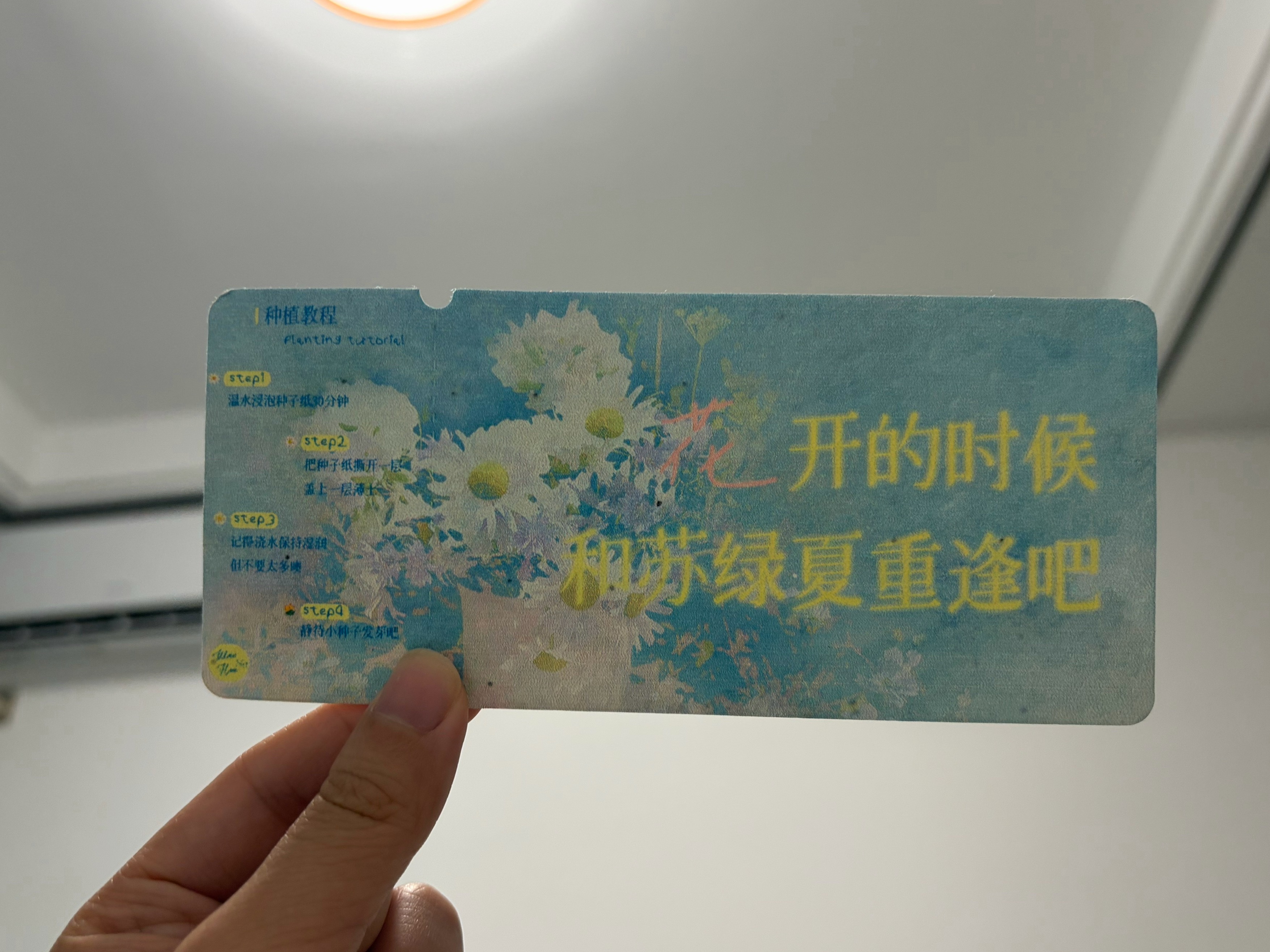 你们种下去了嘛🙊 