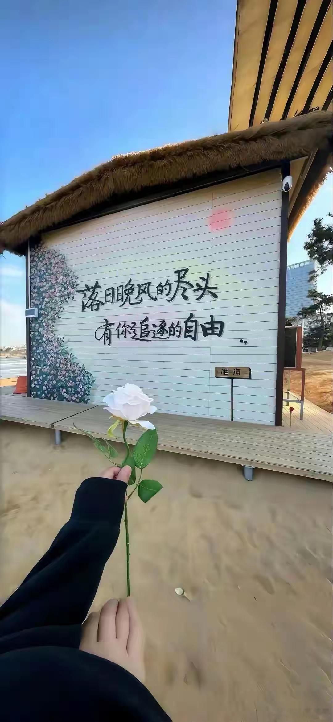 各位老铁早上好！