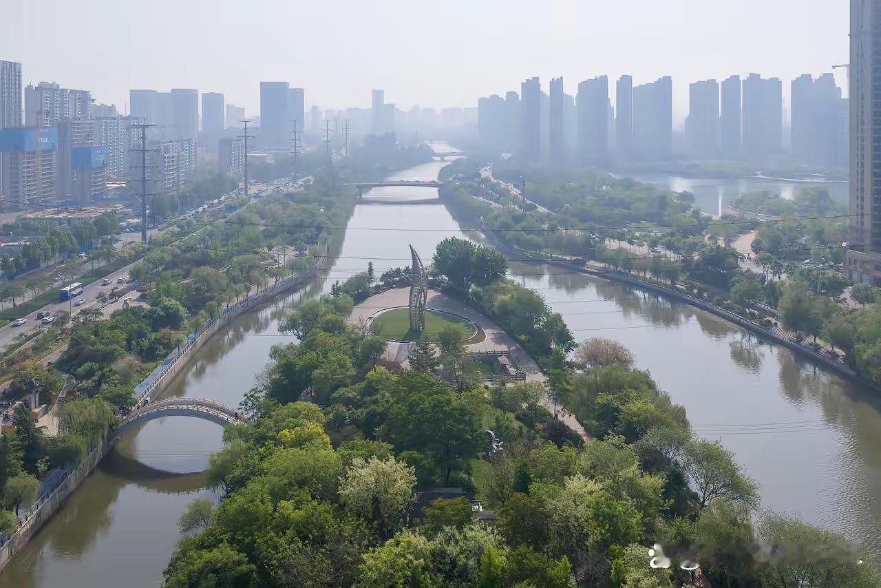 济南五柳岛，那可是个宝藏地。它位于小清河上，像颗遗落的明珠。岛上植被丰富，绿树成