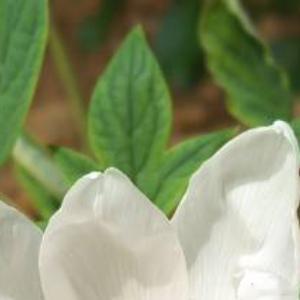 每日一善每日一善 生命中的任何感动都是岁月的馈赠。是你以赤子之情善待了这个世界这