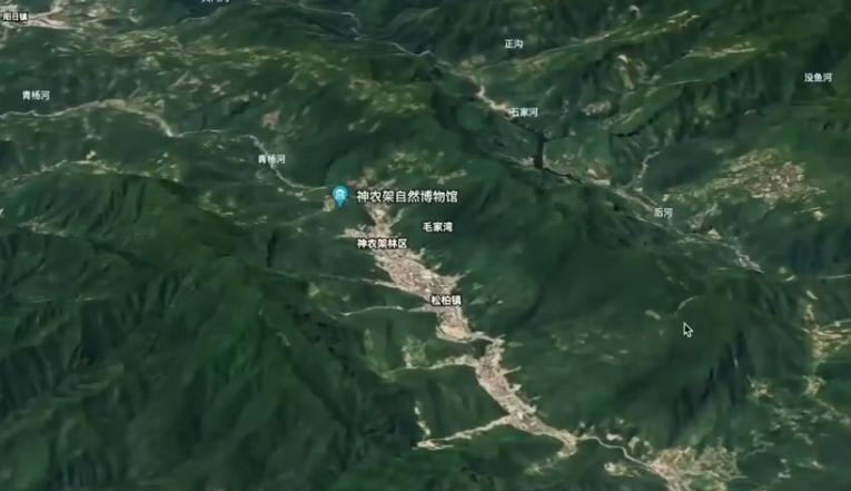 原始森林惊现“半人半猿”！166人科考队苦寻半年，真相到底被谁隐藏？
在湖北省西
