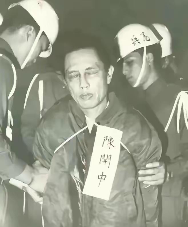 吴石将军牺牲后，蒋经国以为台湾的共产党清理干净了，但他没想到的是，三野的团政委竟