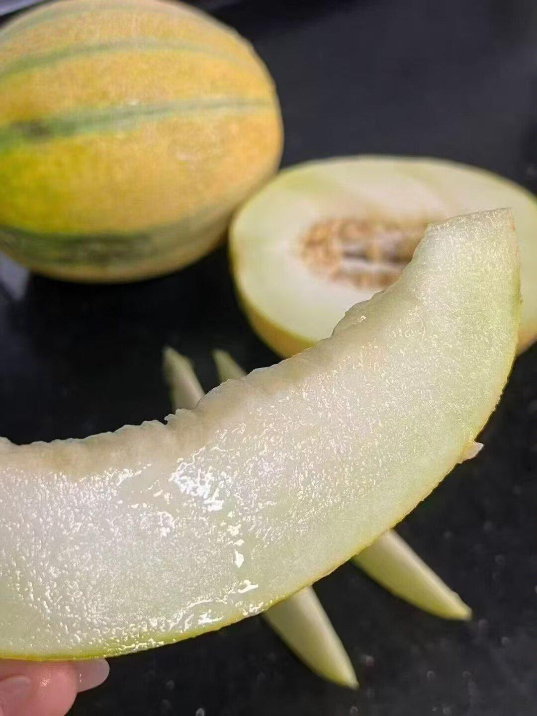 静待花开，美好自来。用心对待生活，生活便会温柔以待。迎着晨光舒展心情，耐心等候惊