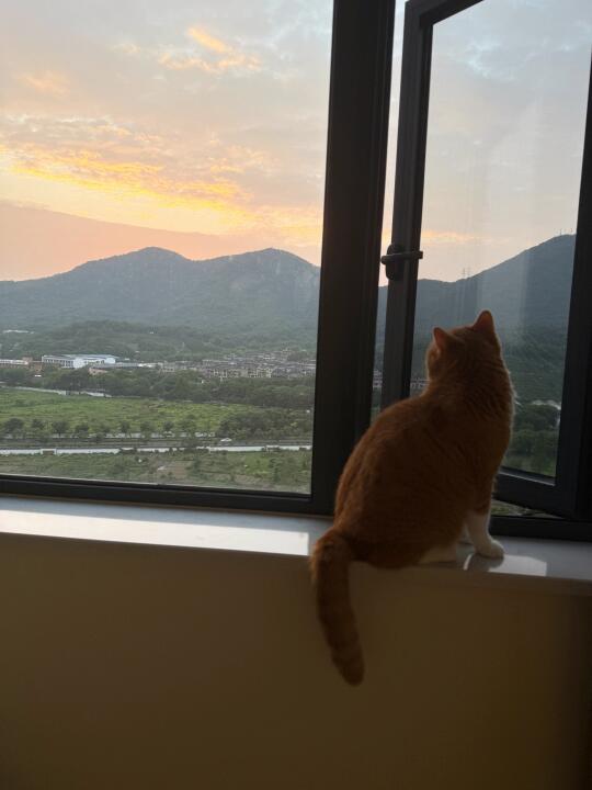 看晚霞 看山 看鸟 看小河