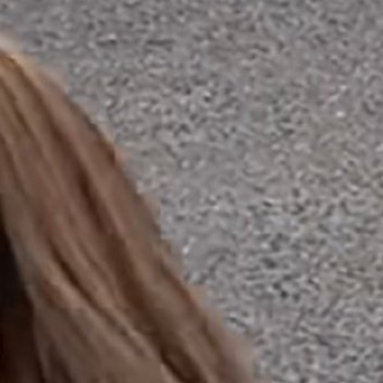 豆包变豆脚了豆包AI官方明确否认该机器人为其本体，在社交媒体回应称“这是网友DI