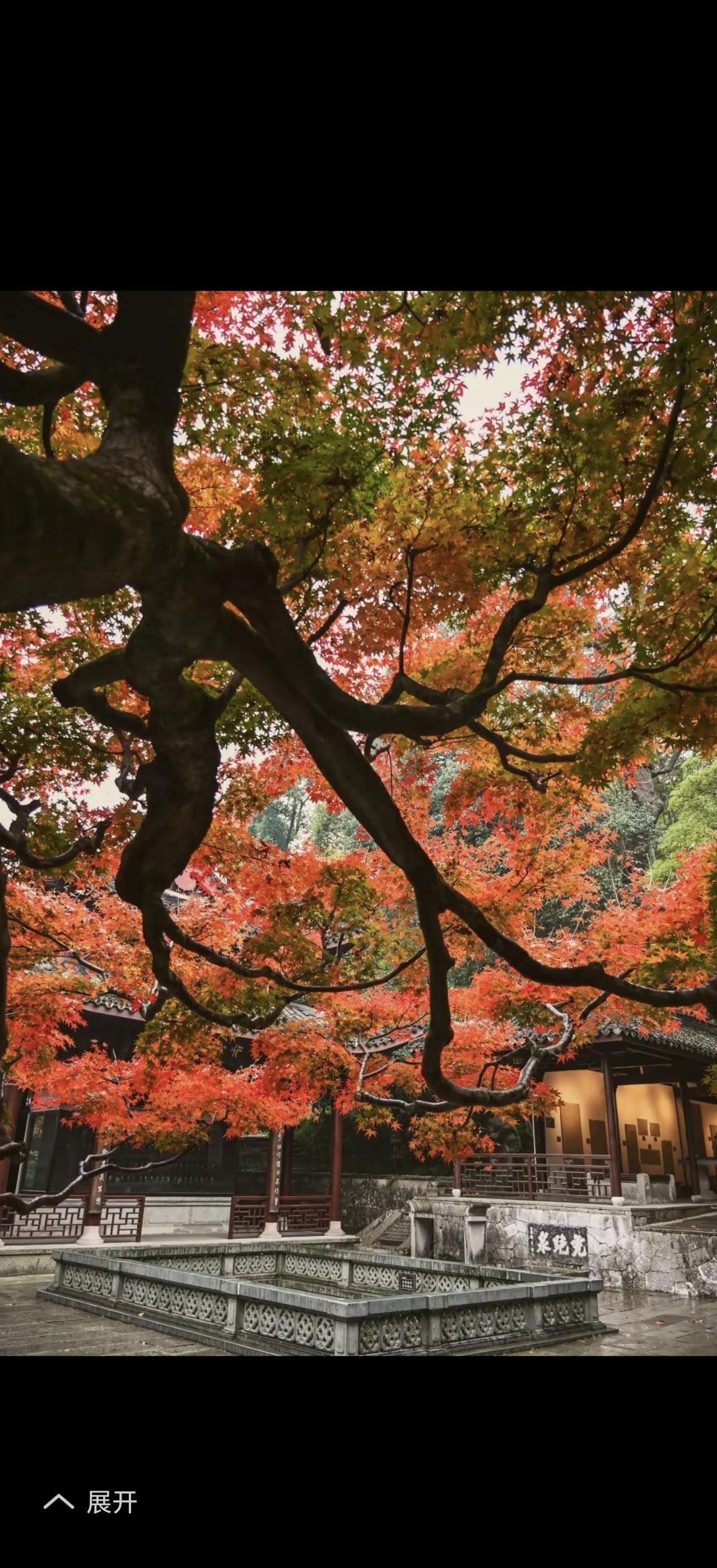 看腻了朋友圈里滤镜下的精致生活，其实真实的人间烟火日常才最动人。有人感慨小狗狗能