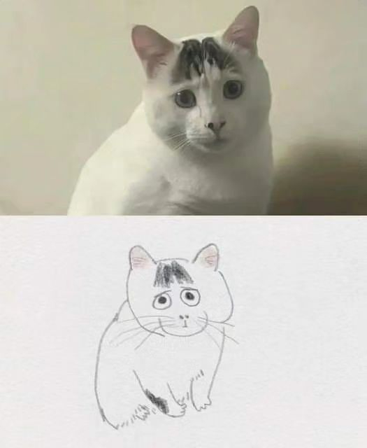 🐱 ​​​