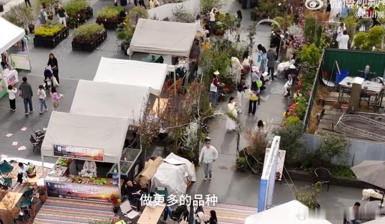 BOSS观察谁能想到打扫屋子也能爆红？大美 30 岁跨行做家政，专攻特殊房型清洁