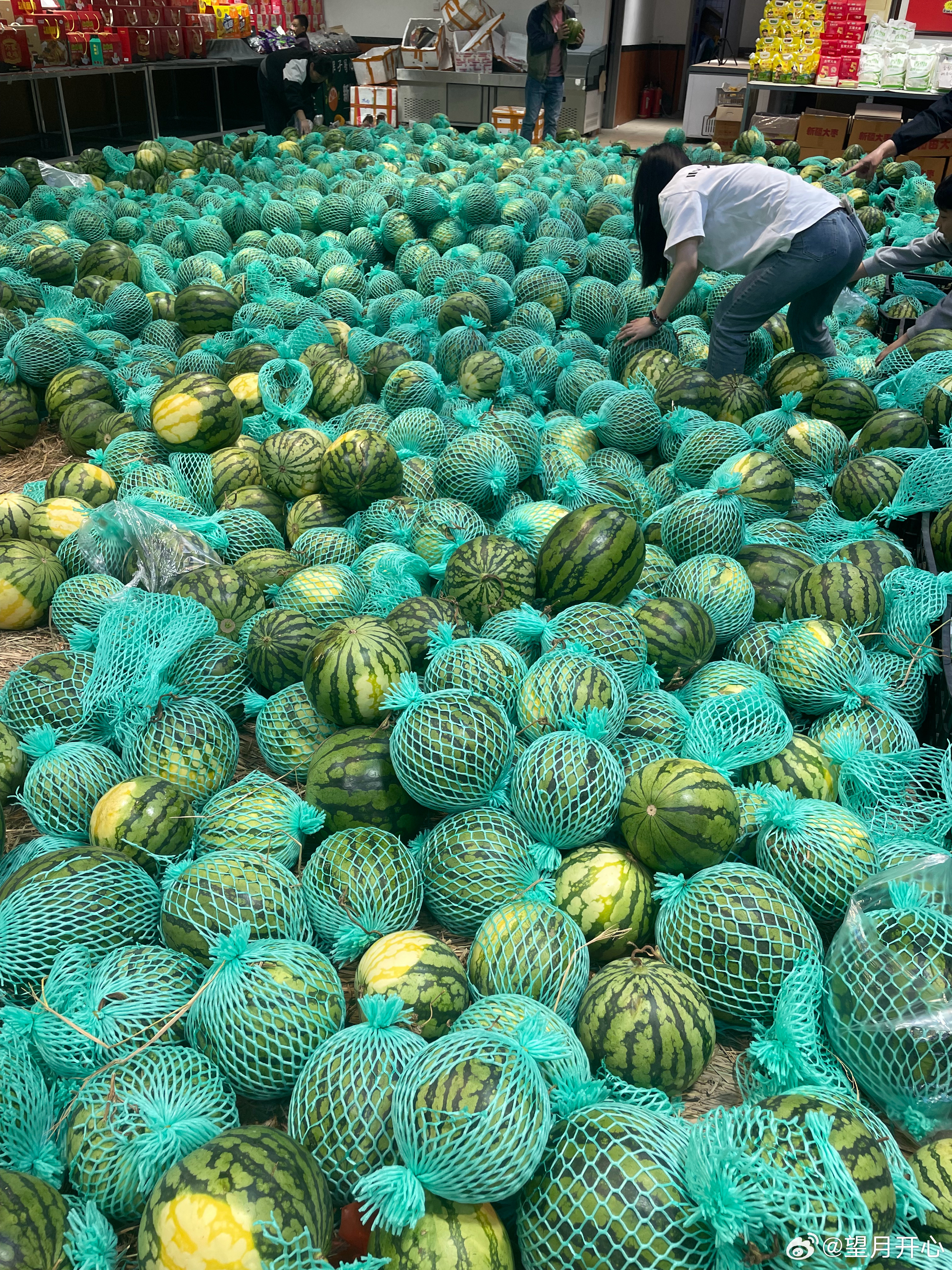 旁边的水果店大促销西瓜很实惠1.99元一斤，昨天买了超级甜凤梨不便宜，5元一斤，