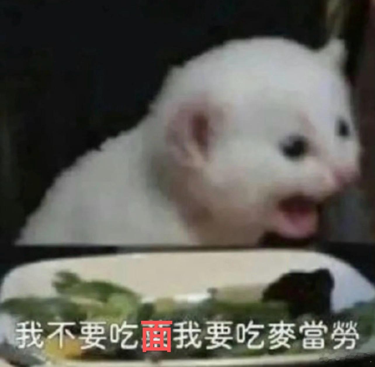 好饿啊，今晚终于不用吃面了，我要吃麦当劳a股