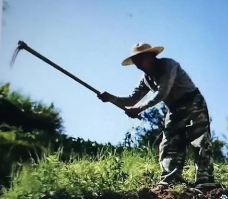 人的命运或许是注定的，你同意吗？
 
有人认为人的命运是天注定的，认为一切事物都