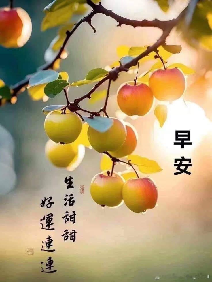 早上好 