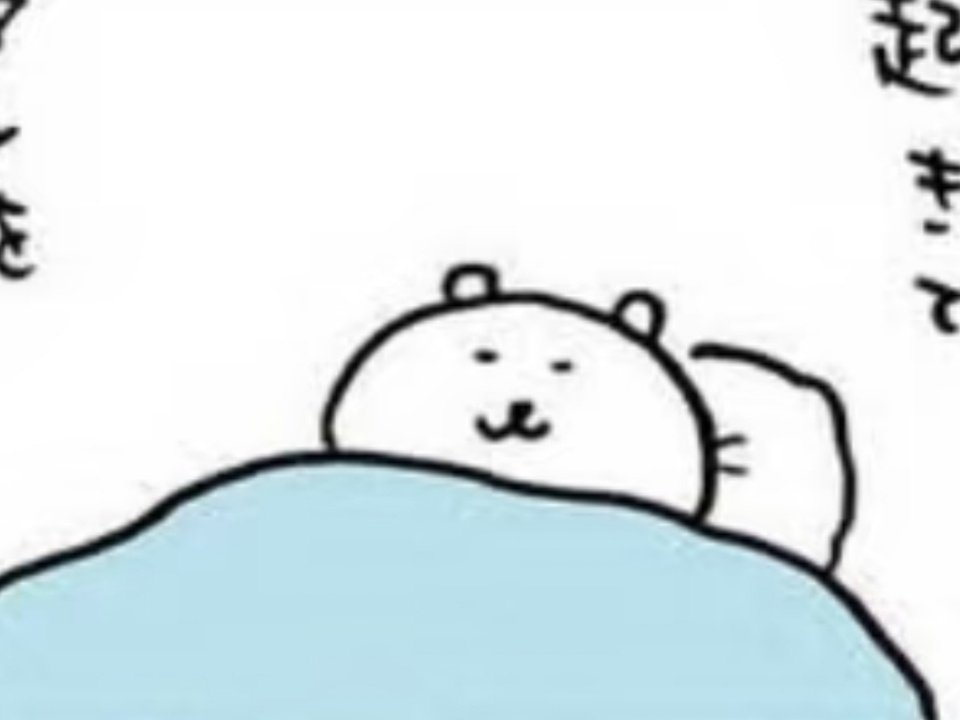 事情到这样了，那就都来我被窝睡觉吧！ 