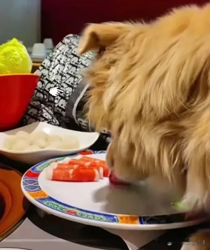 北京某火锅店最近被一场“爱宠风波”搅得沸沸扬扬——一位女子带着宠物狗上桌，甚至让