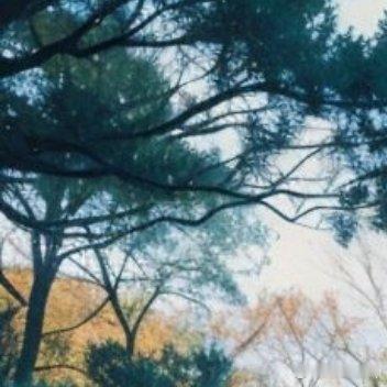 ♧ 𝓰𝓸𝓸𝒹 𝓂𝓸𝓇𝓃𝒾𝓃𝓰星辰和大海都需要门票诗和远方的