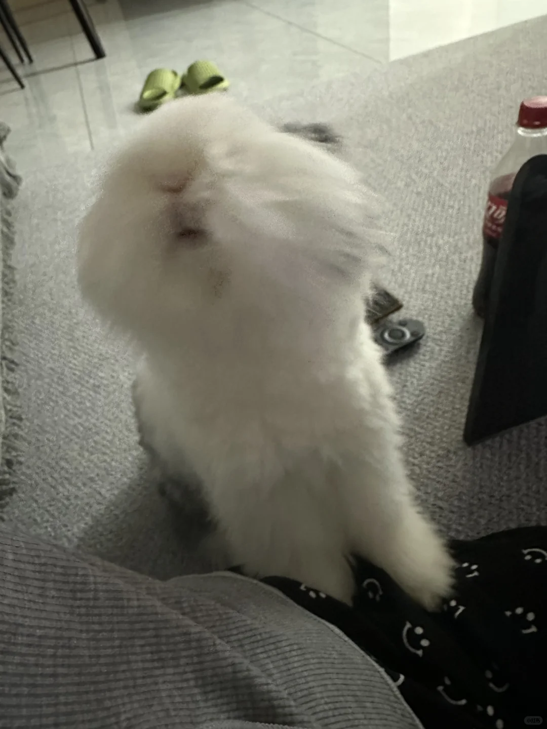 想问问大家