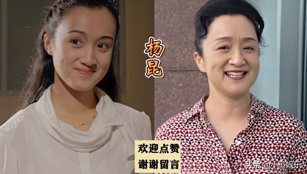 杨昆、张小磊、顾艳、刘洁、吴美娟、归正茜，她们的脸，你一定会觉得眼熟。她们是电视