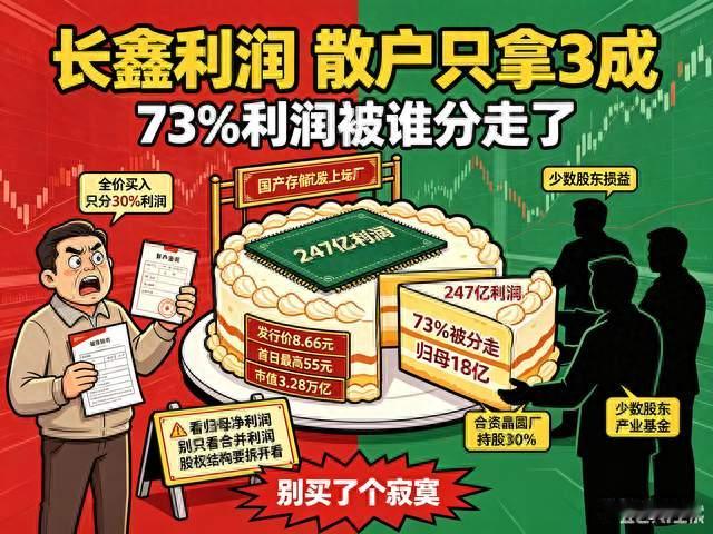 247亿利润被分走73%！散户花全价买长鑫，到手只是个“打折股”