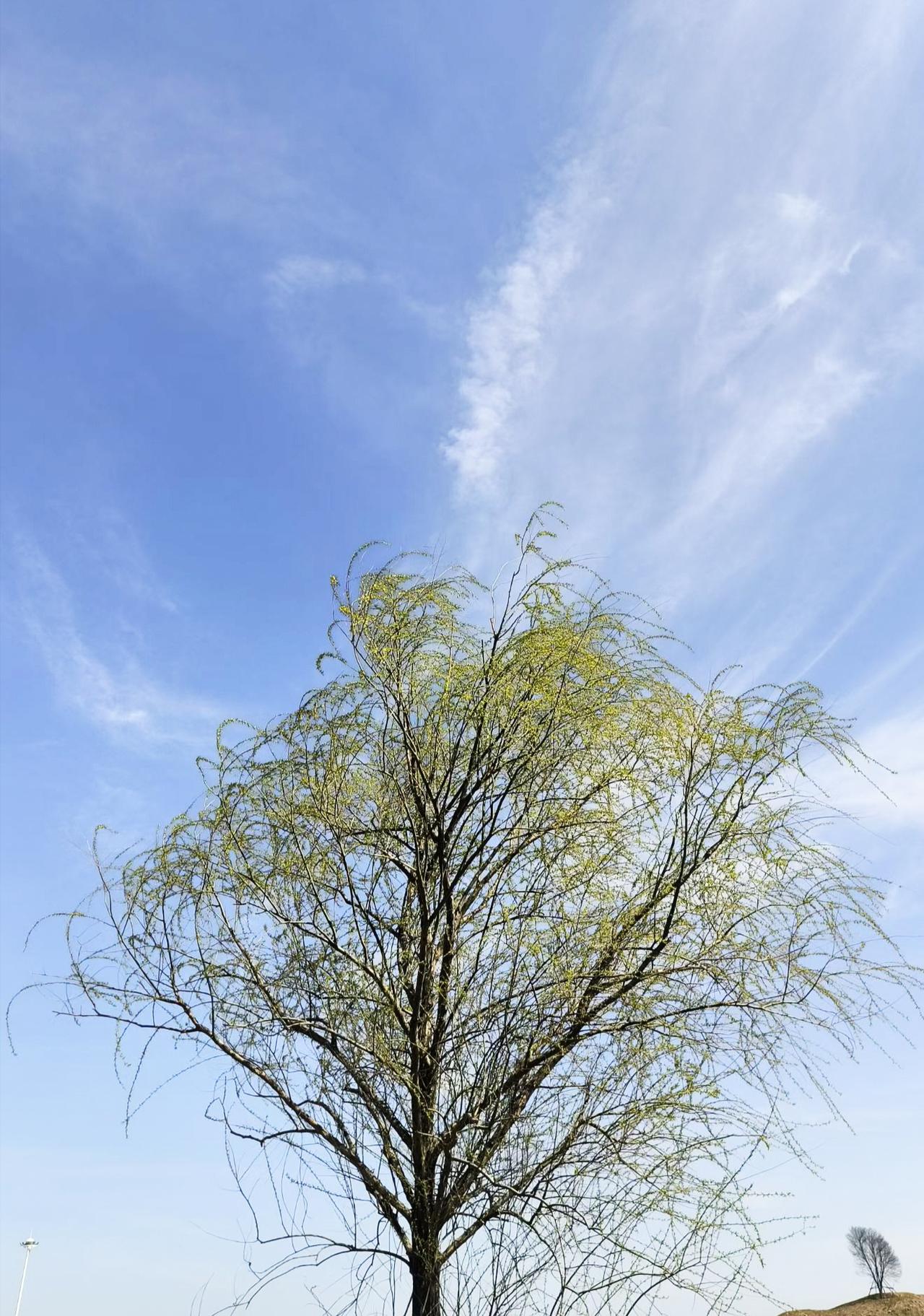 不知不觉，三月要收尾了。即将迈向崭新的四月，人间最美四月天，祝大家春风得意，一切