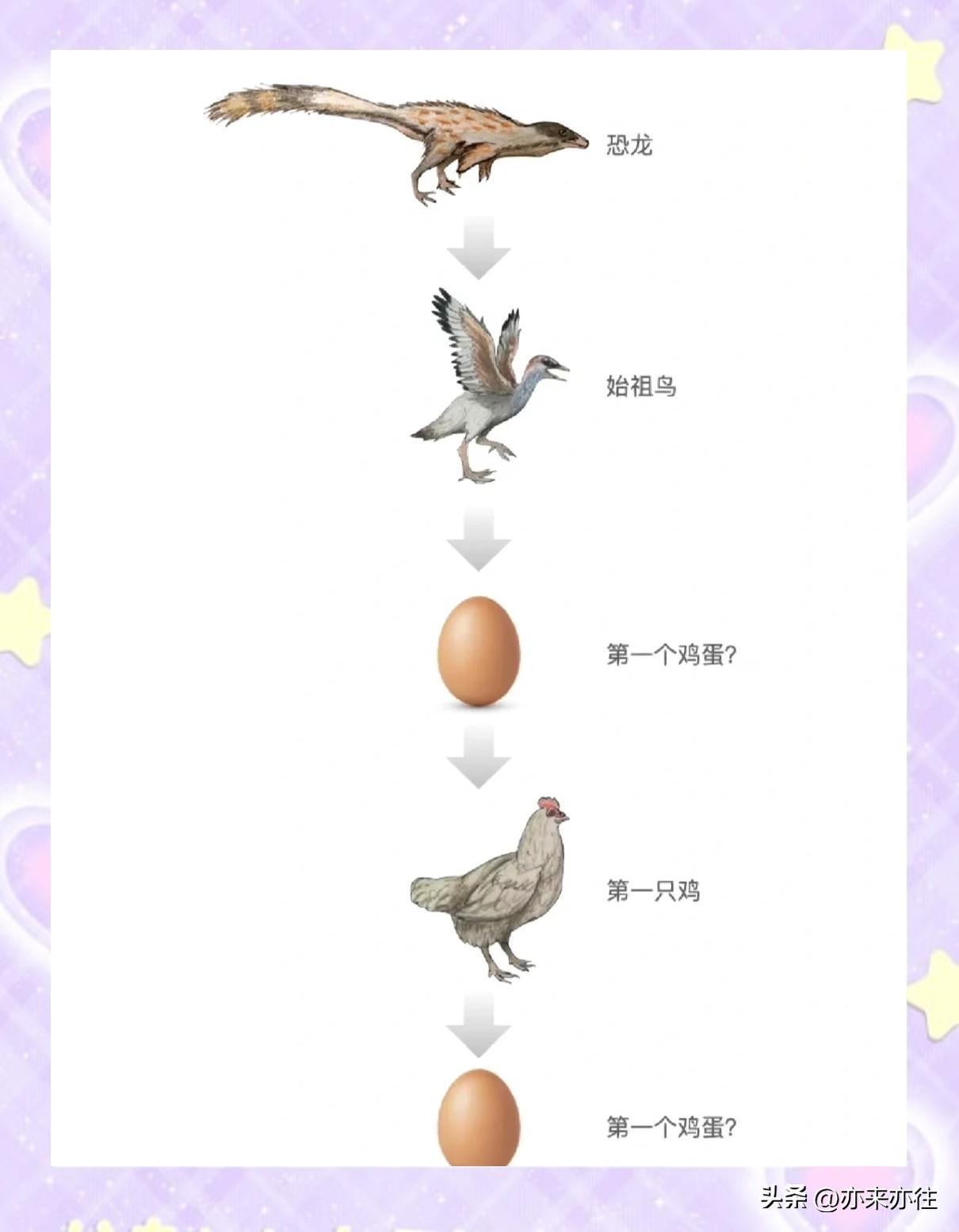 老生常谈的“先有鸡还是先有蛋”的千年谜题，科学早已给出答案：先有蛋！  

从演