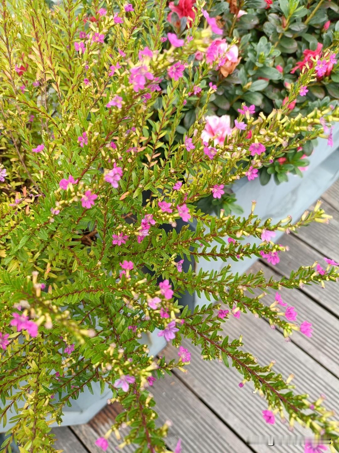 人生最安慰自己的一句话是什么好好生活没有过不去的坎，明天更好。