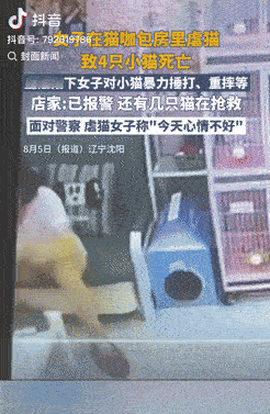 “死磕到底！”沈阳，一名员工在日常检查监控时，发现了一件让人愤怒的事情。一个女子