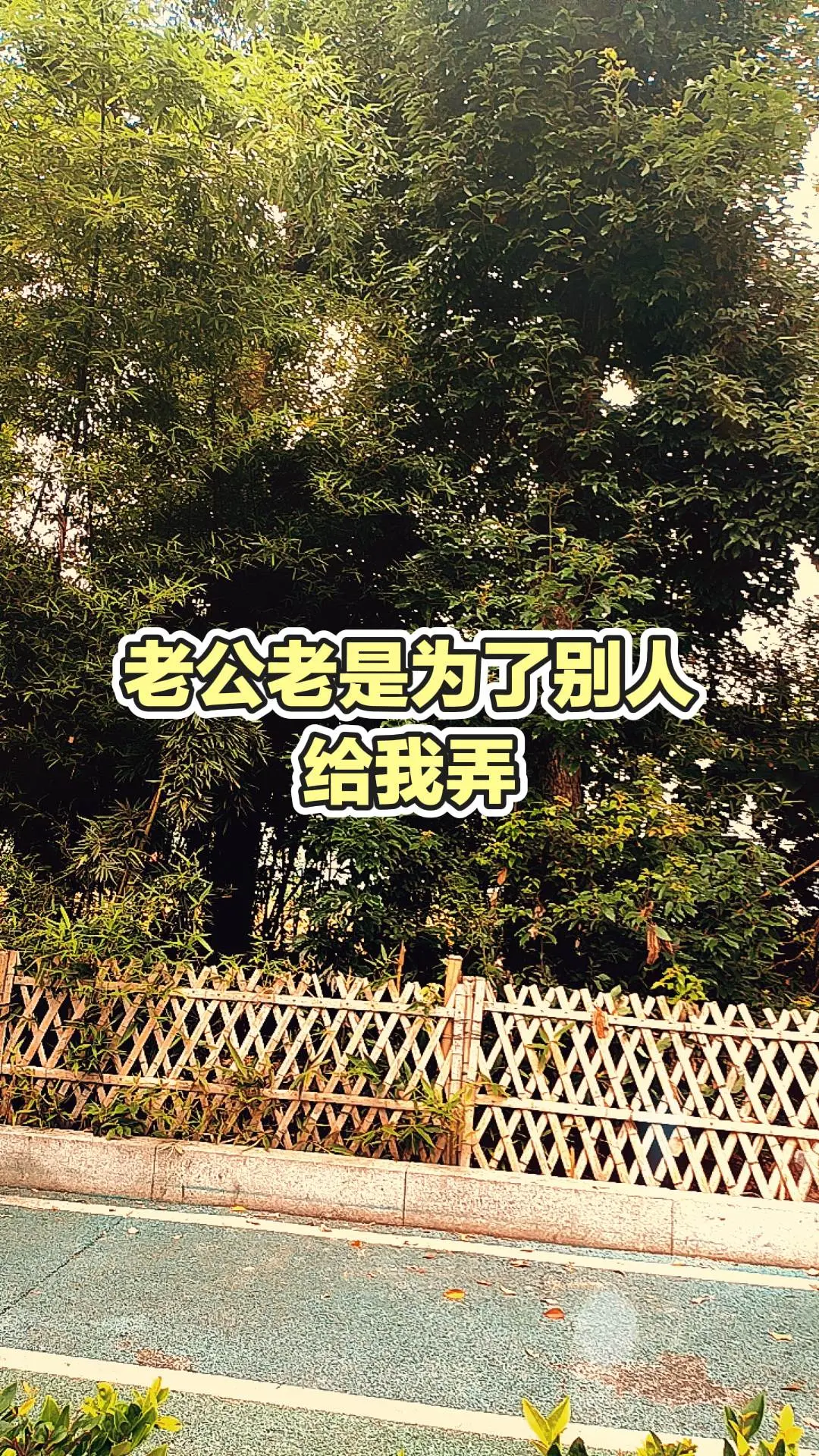 每日分享
