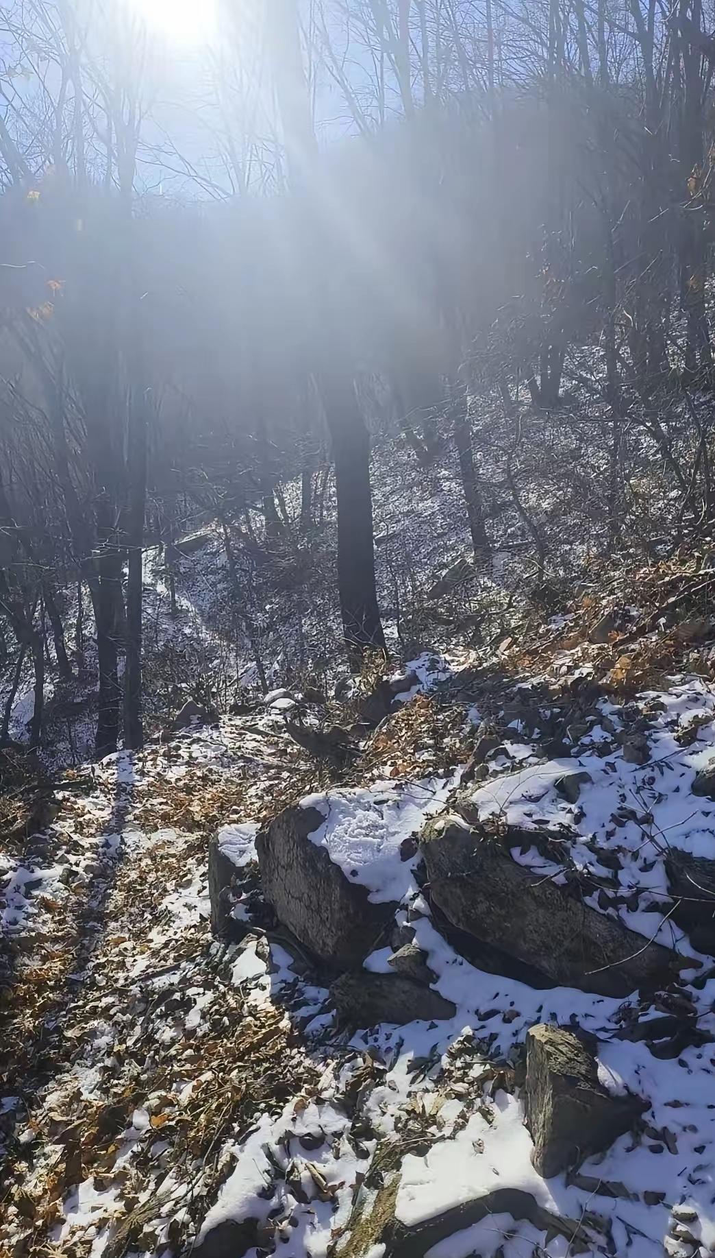 好好过日子吧，要是真没了，啥都带不走。  

我那62岁的老伙计，生前身儿就爱买