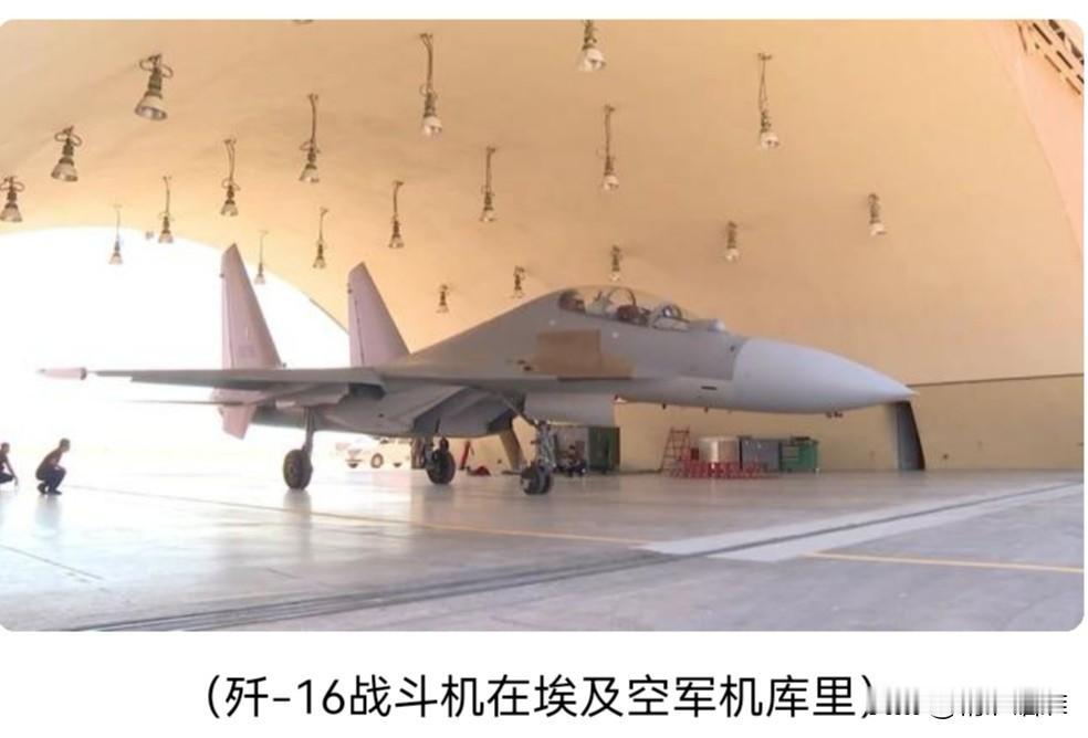 【难道埃及白嫖啦中式战机和体系化作战吗】埃及上一次看了歼十战机，歼十战机飞跃几千