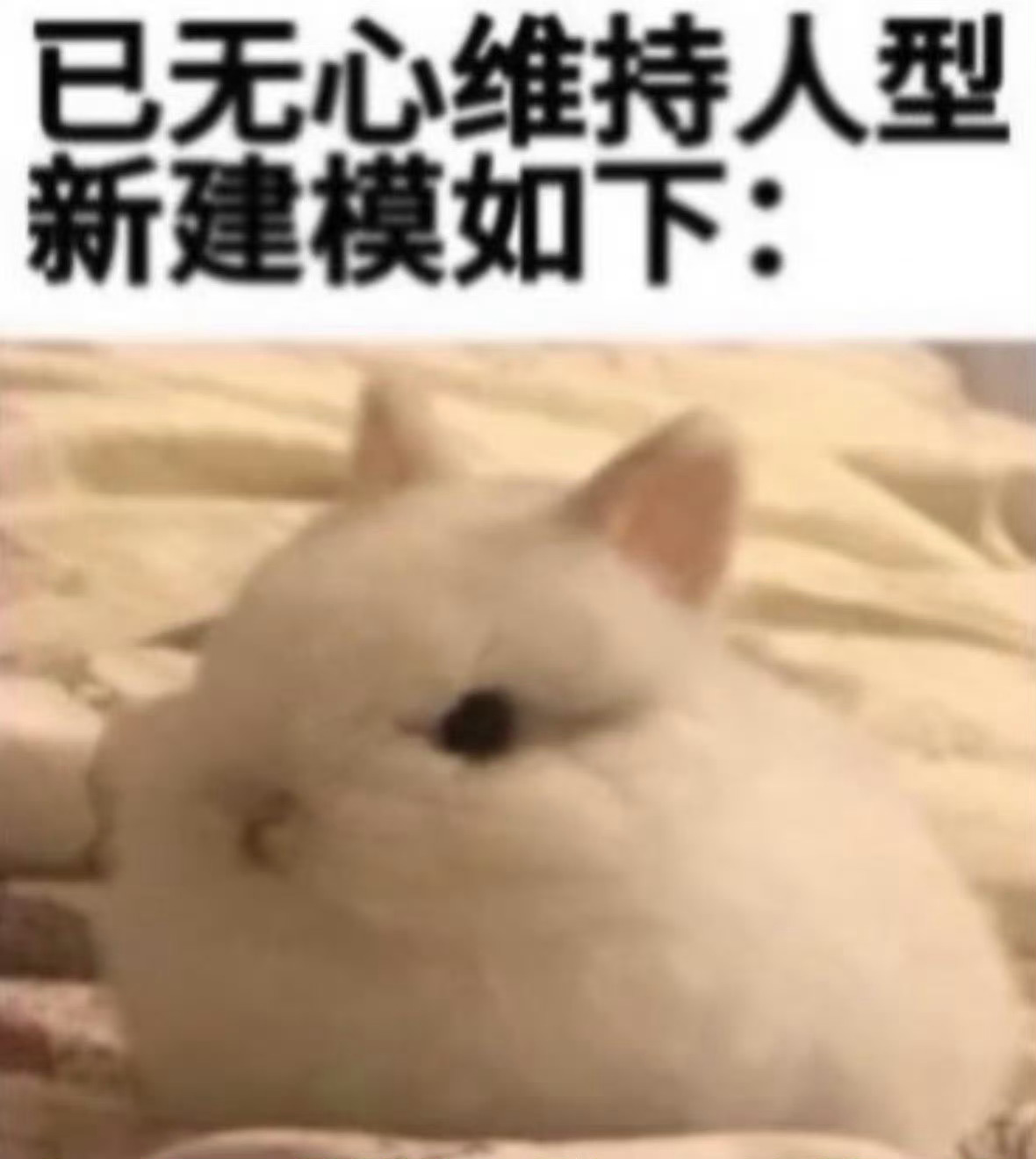 每次洗头都得哄着自己… 