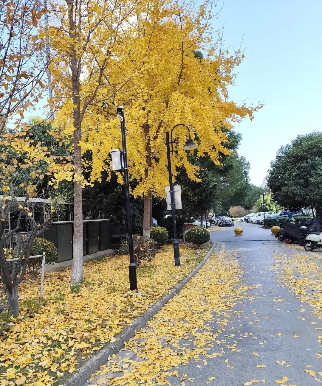 2026年第一天我爸入土，我蹲在出租屋阳台喝二锅头，对着手机碎碎念。
小时候家里