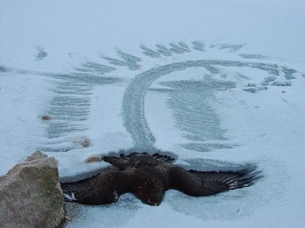 最后的轨迹🦅 ​​​