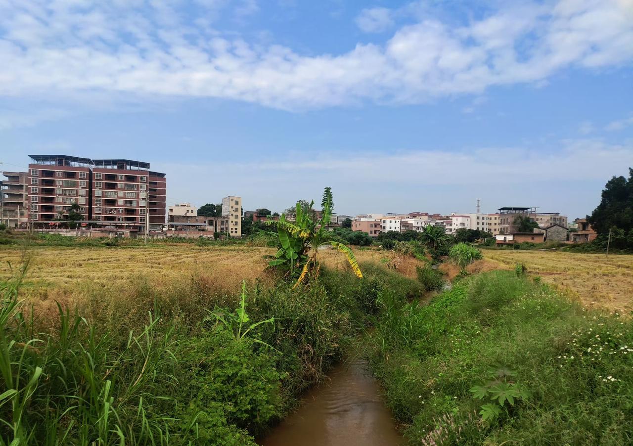 今日运势：乙巳年丙戌月癸酉日  2025.10.31日

鼠：工作取得收获
牛：