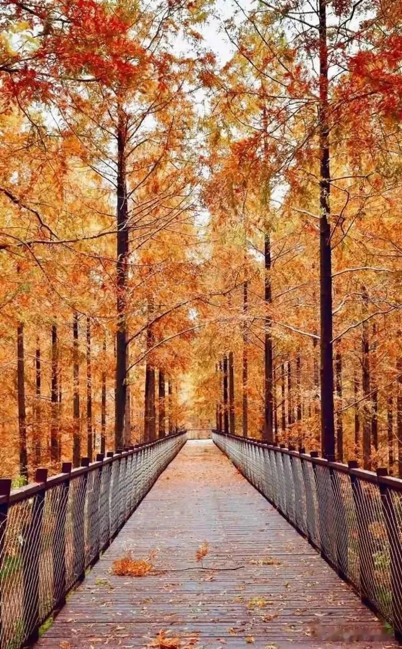 #从秋冬拍到春夏# 坦然面对衰老，化解情绪波动，始终保持努力与坚持的习惯。或许，