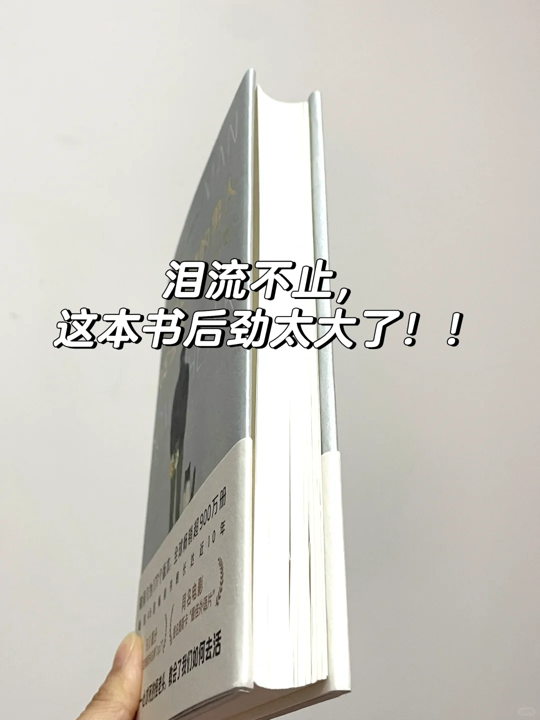 ✨这本书就像光一样照亮了我的人生！！