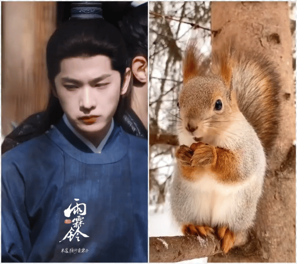 杨洋吃东西好像一只可爱的小仓鼠，而且还是一只长得很俊的小仓鼠