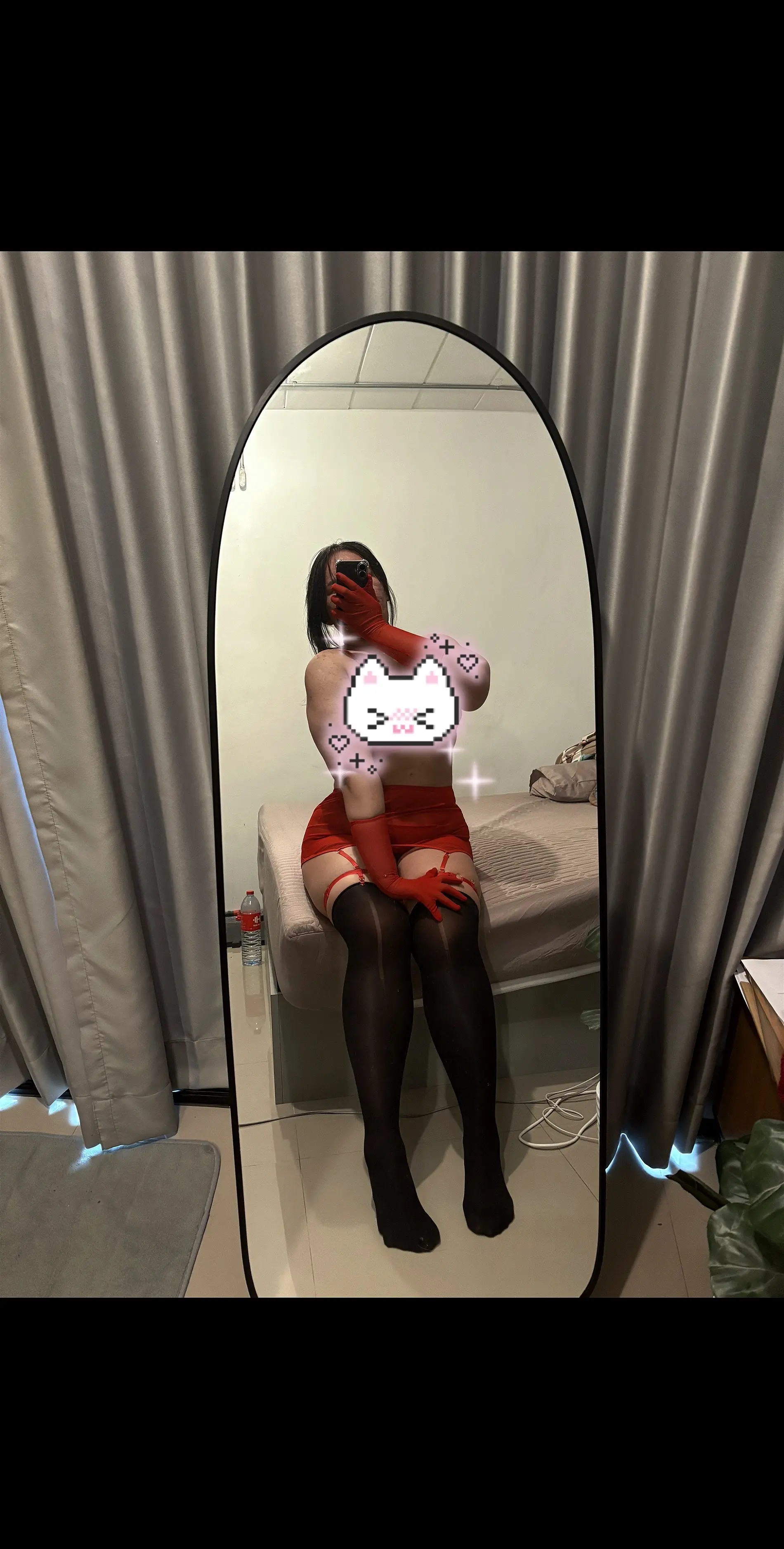 喵咪(>^ω^<)