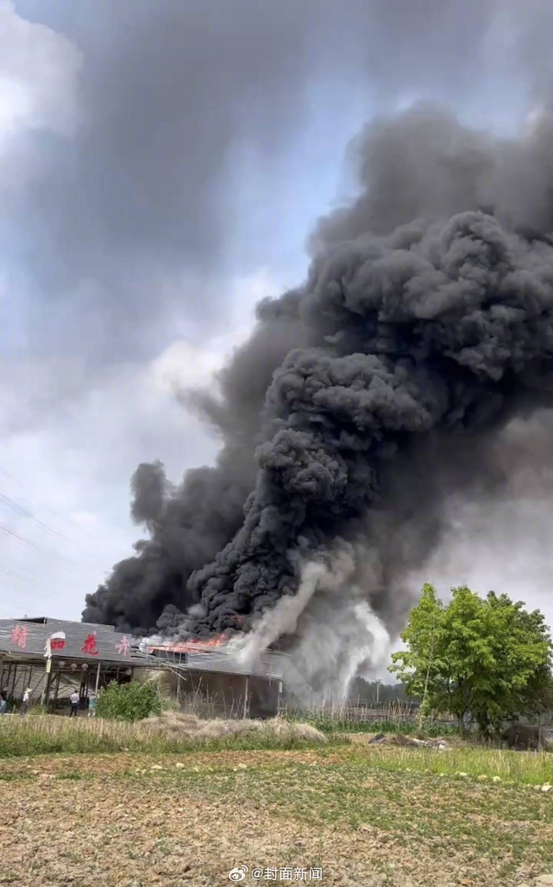 【#成都一花卉种植园突发火灾# 消防：无人员伤亡】5月9日下午，网传成都三圣乡一