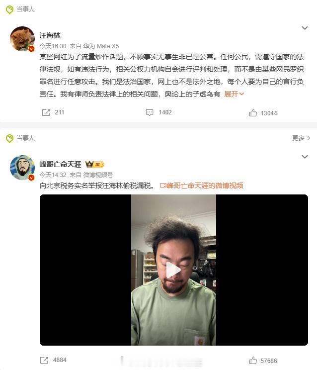 要么封杀偷税的，要么封杀造谣的，这俩总要封一个吧 峰哥实名举报汪海林偷税漏税